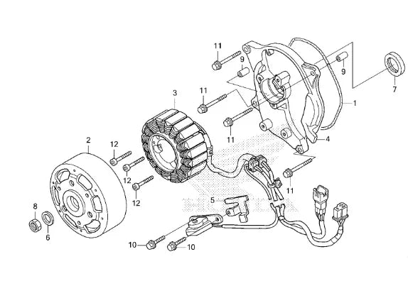 Alternator Stator - Honda Ruckus OEM – Secret Import