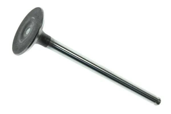 Cylinder Head / Valves Honda Ruckus 50 – Secret Import