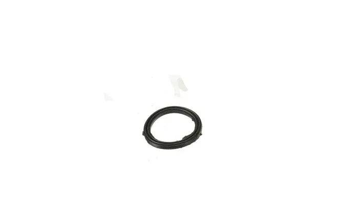 JOINT D'ÉTANCHÉITÉ POUR FLOTTE D'ESSENCE (SCOOTTERRE OEM)