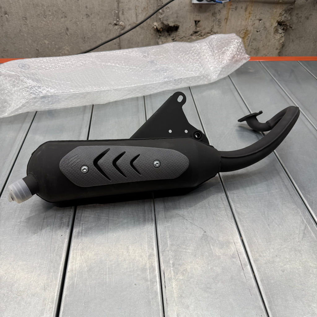 Exhaust Polini Speed PGO (Briser)