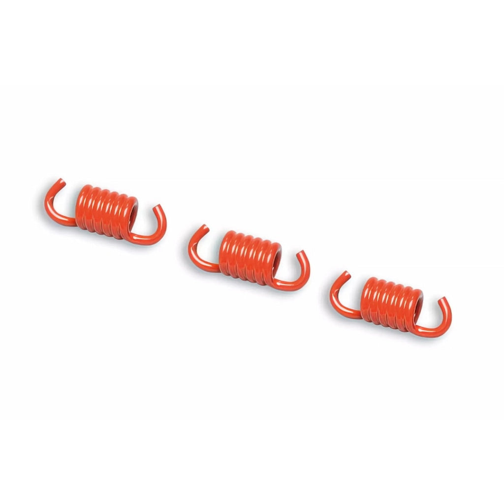 Clutch Springs Malossi (Fly/Delta) - 298743B