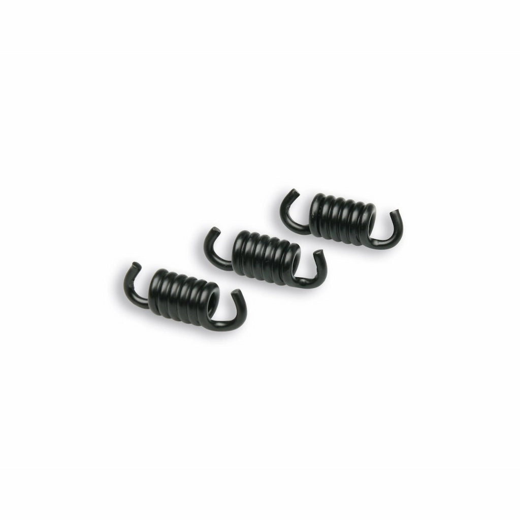 Clutch Springs Malossi (Fly/Delta) - 298745B