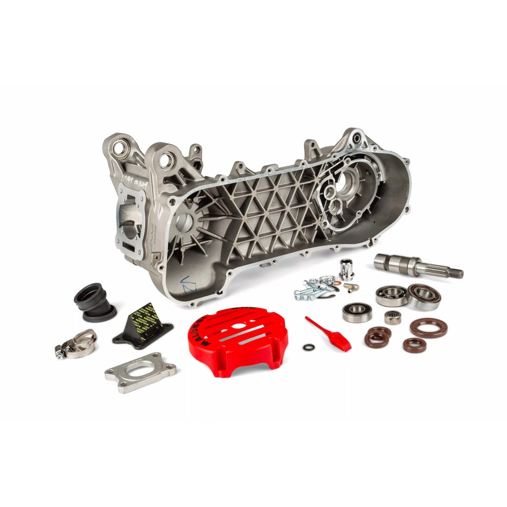 Crankcase Malossi RC-ONE (Minarelli) - 5716668