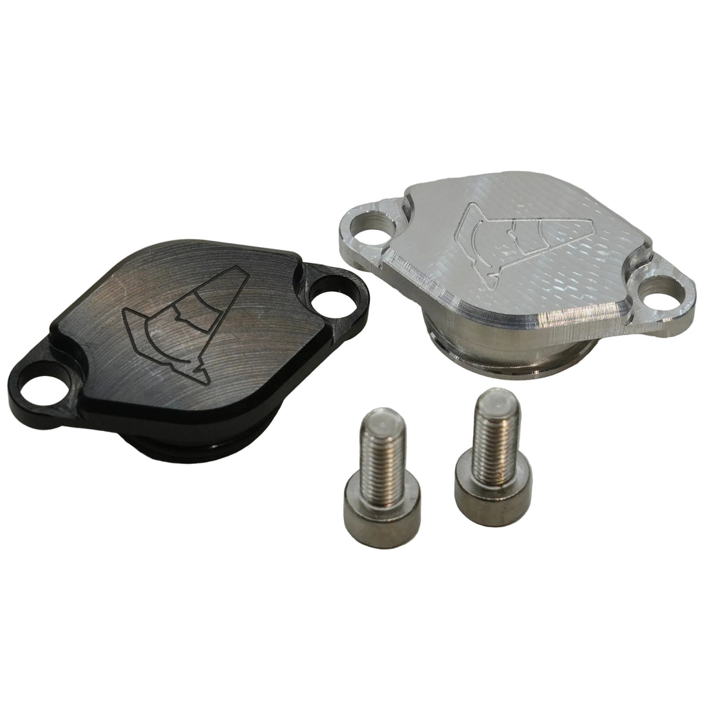 Oil Pump Delete Cover (Minarelli / Adly)