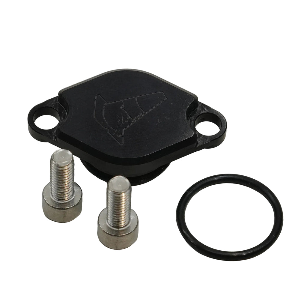 Oil Pump Delete Cover (Minarelli / Adly)