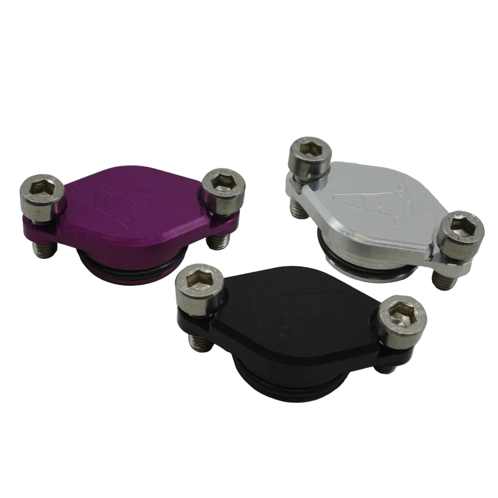 Oil Pump Delete Cover (Minarelli / Adly)