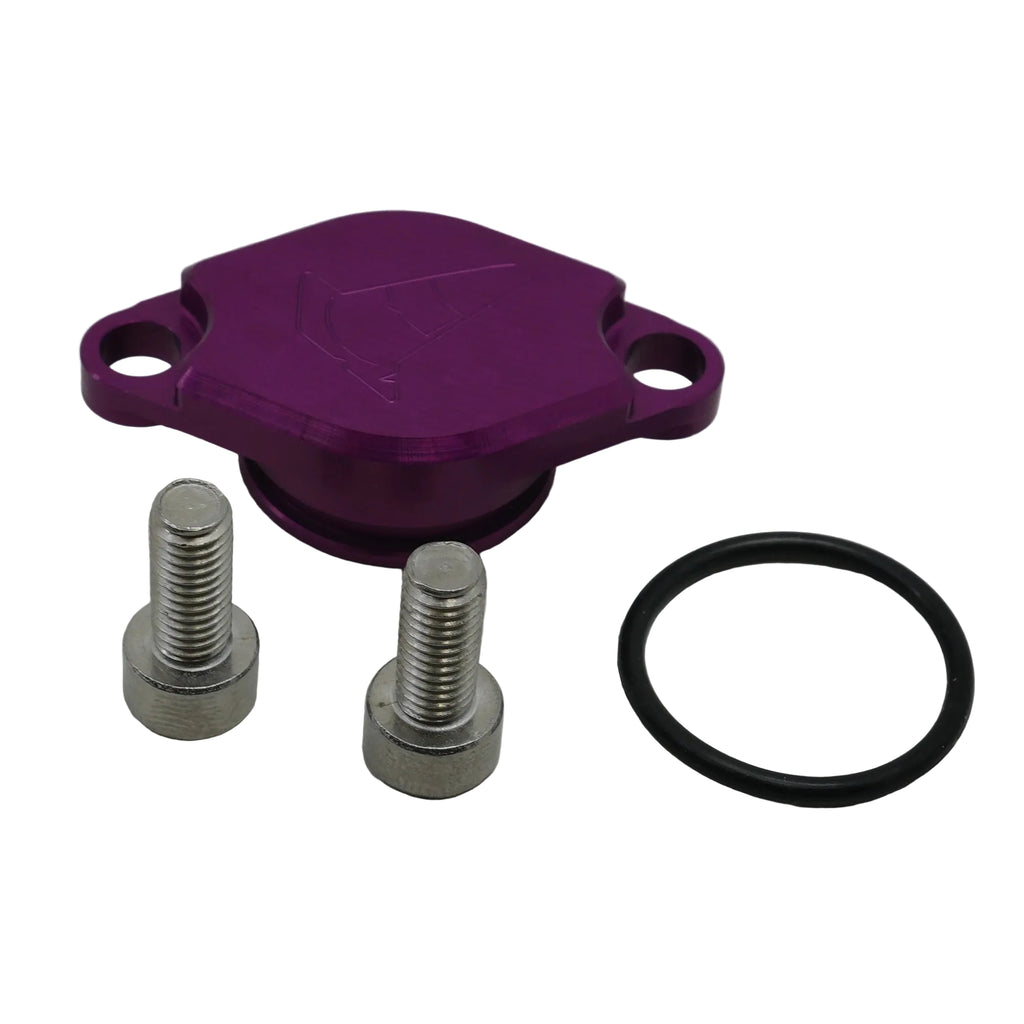 Oil Pump Delete Cover (Minarelli / Adly)