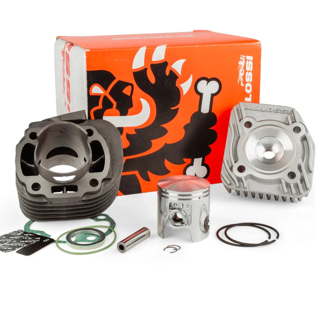 317083 Malossi Cylinder Kit