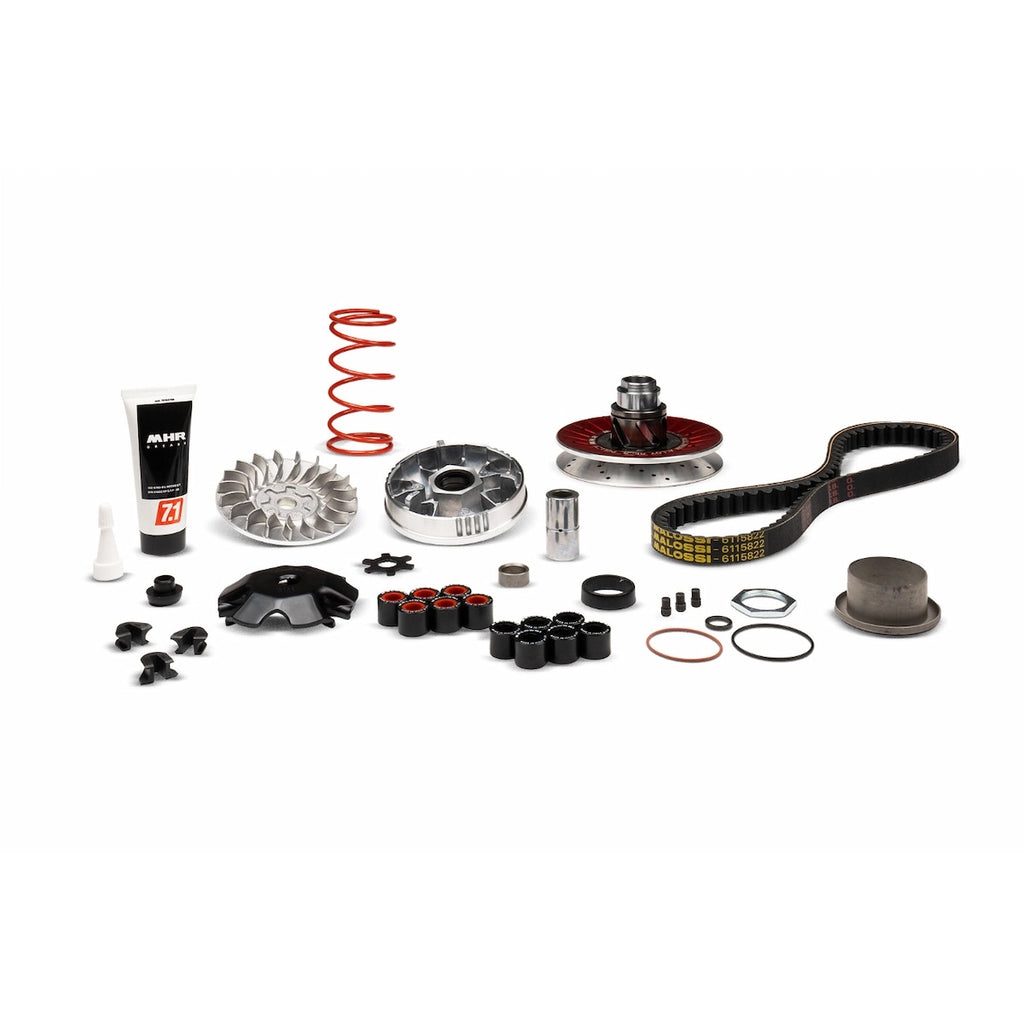 Oversize CVT Malossi Alu 2013 Minarelli - 6118884