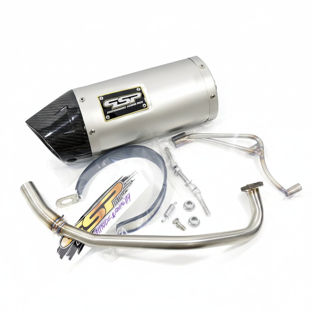 Échappement PSP Fatty avec Bout en Carbone pour Honda Ruckus