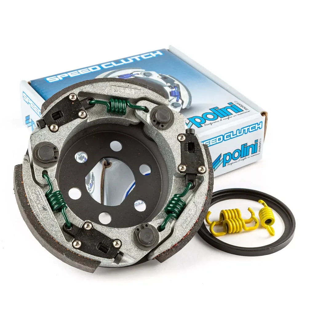 Clutch Polini For Race 3 107mm Minarelli 