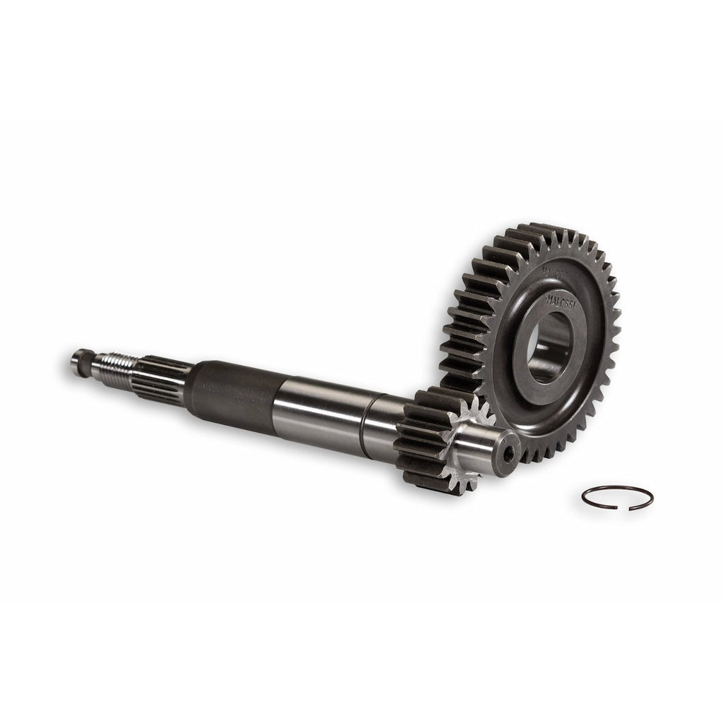 Primary Gear Malossi Piaggio 14/39 - 679080
