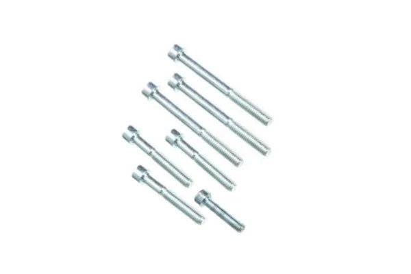 Screw Kit For Crankcase Pgo