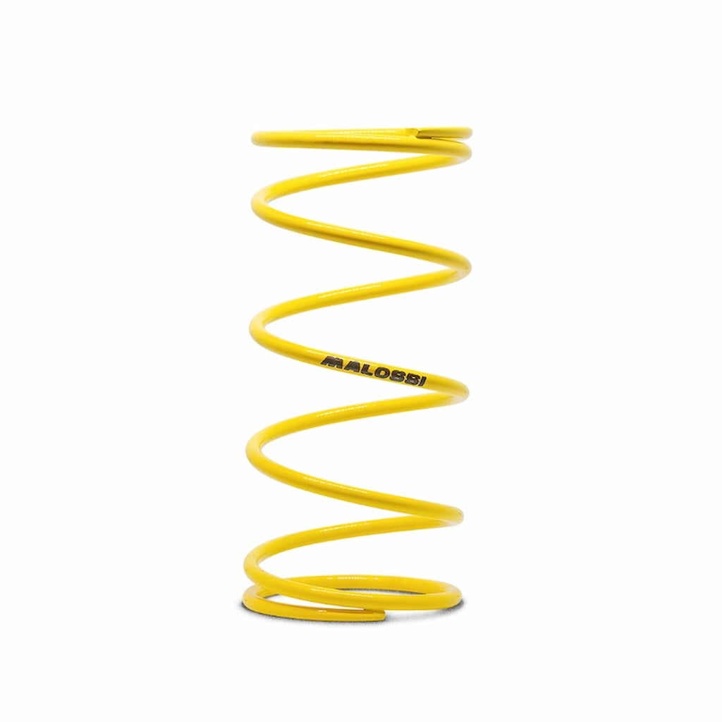 Torque Spring Malossi Minarelli - 297045.Y0