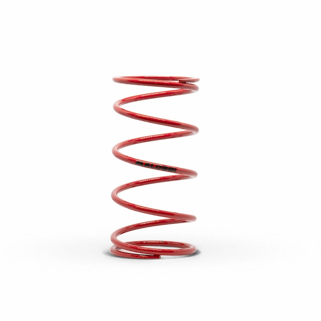 Torque Spring Malossi Minarelli - 297046.R0