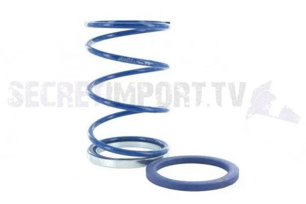 Torque Spring Polini Honda Ruckus 50