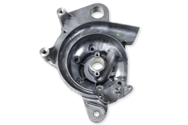 Crankcase Ignition Side PGO - Carter Allumage Côté PGO - P106A010000